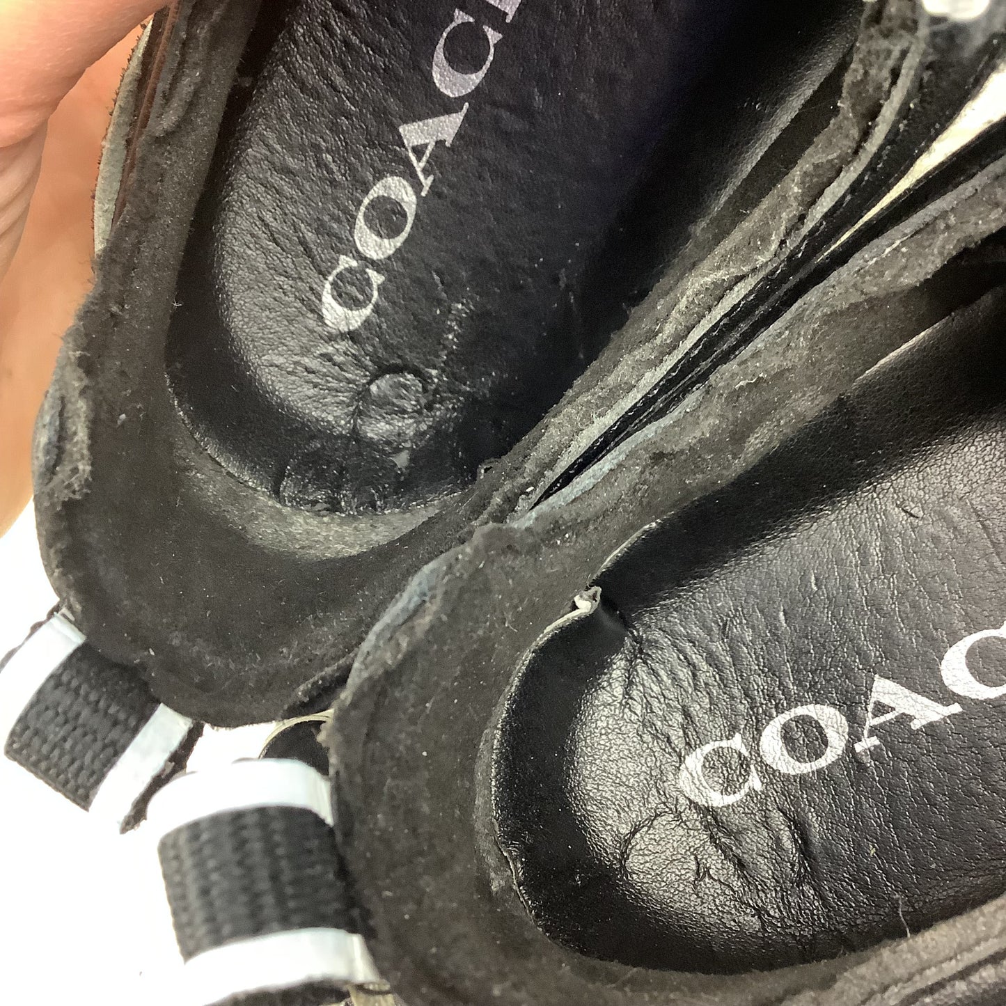 Shoes Designer By Coach In Black & White, Size: 6