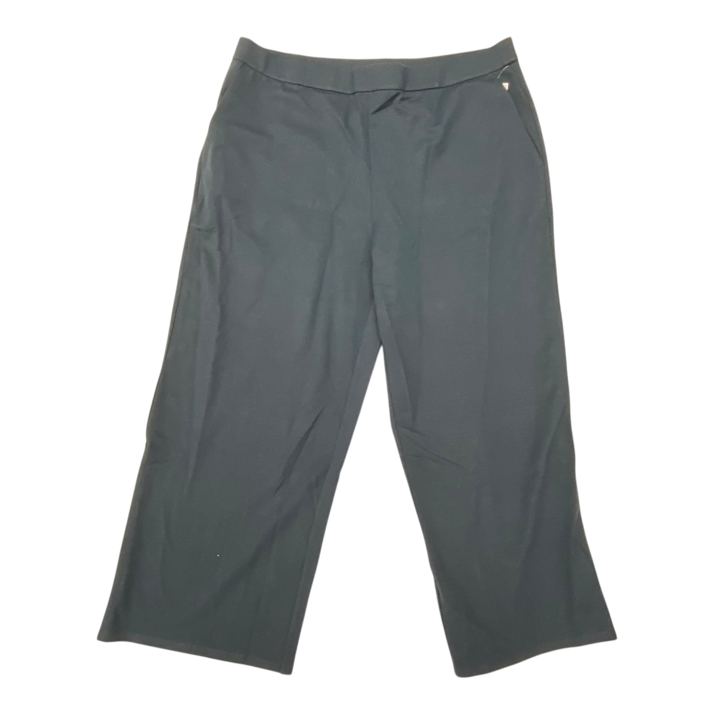 Pants Designer By Eileen Fisher In Green, Size:1X