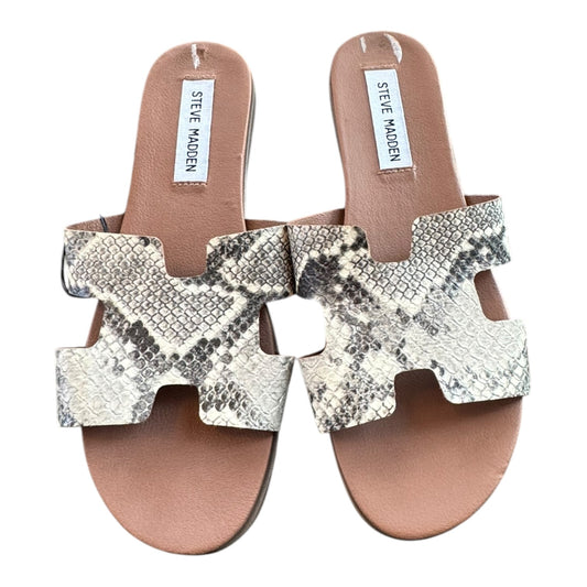 Sandals Flats By Steve Madden In Snakeskin Print, Size:7