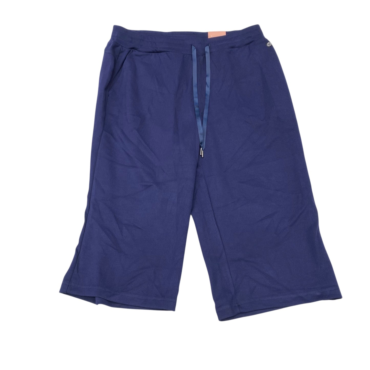 Athletic Pants By Livi Active In Blue, Size:18