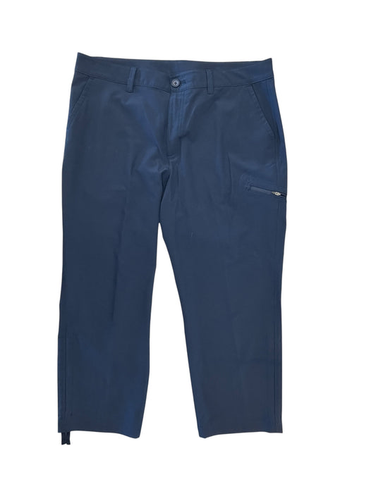 Athletic Pants By Eddie Bauer In Blue, Size:L