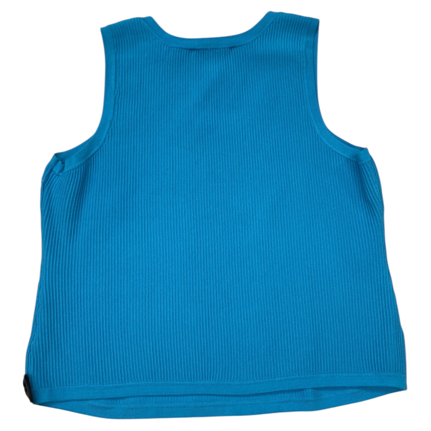 Top Sleeveless By Clothes Mentor In Blue, Size:2X
