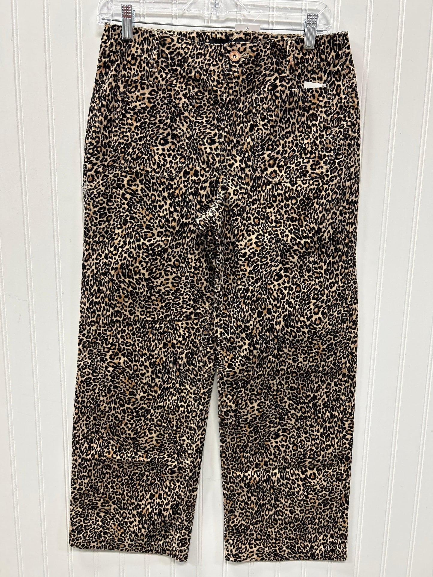 Pants Other By Sanctuary In Leopard Print, Size:6