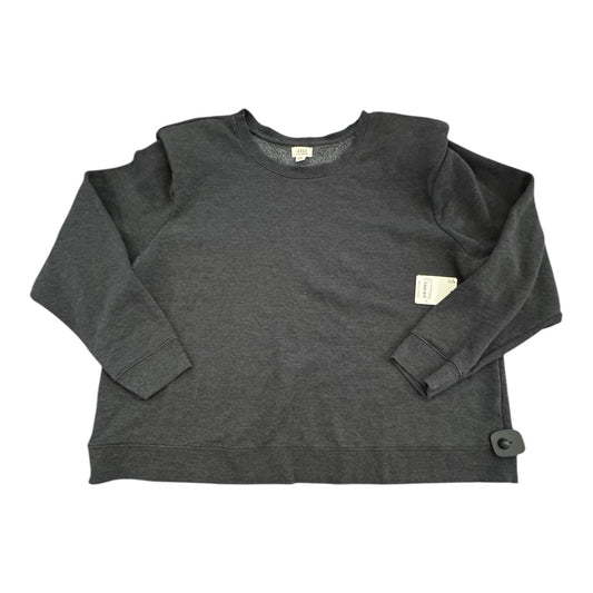 Sweatshirt Crewneck By Ana In Grey, Size:2X