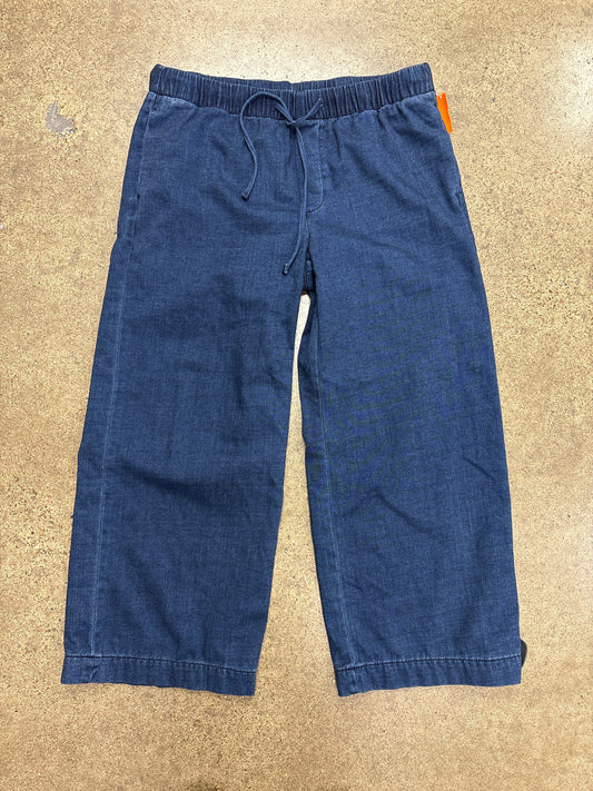 Pants Wide Leg By American Eagle In Blue Denim, Size:M