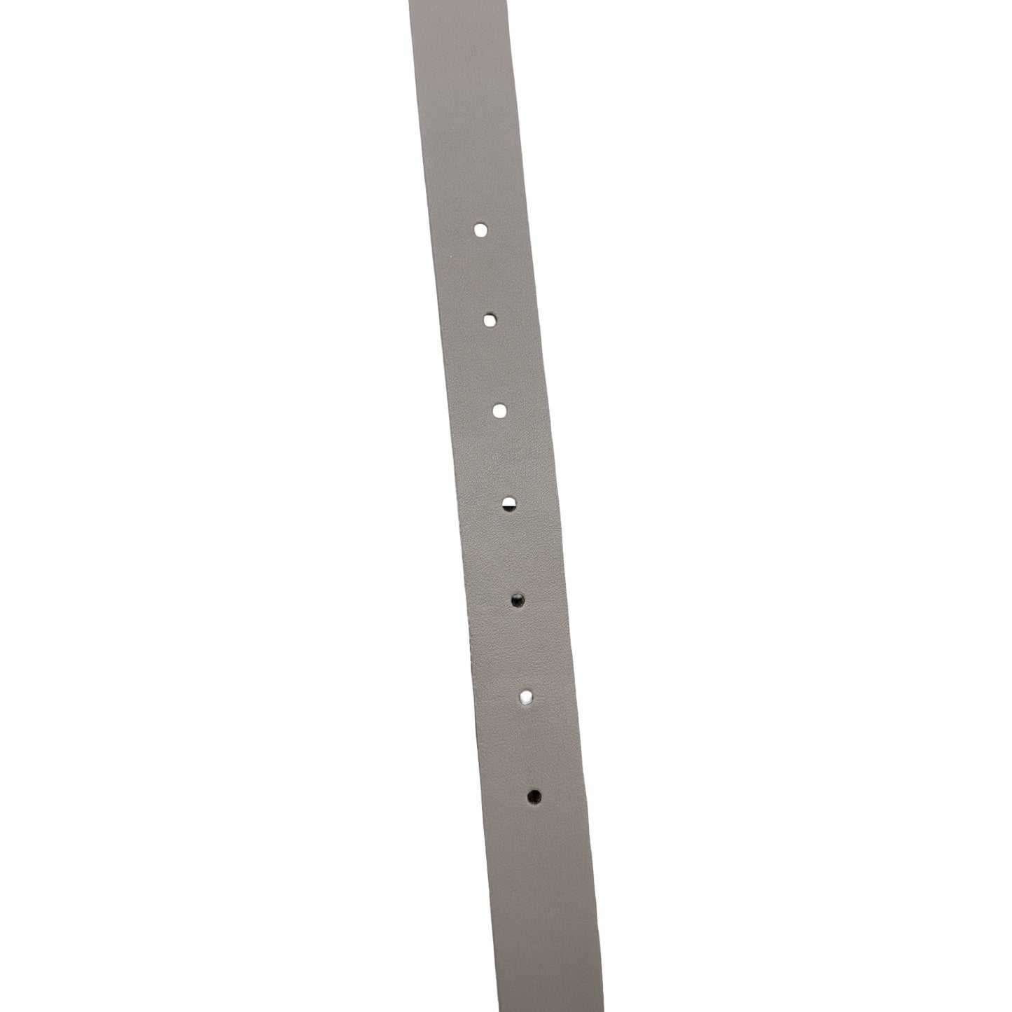 Belt By Vince Camuto In Taupe, Size:Xlarge