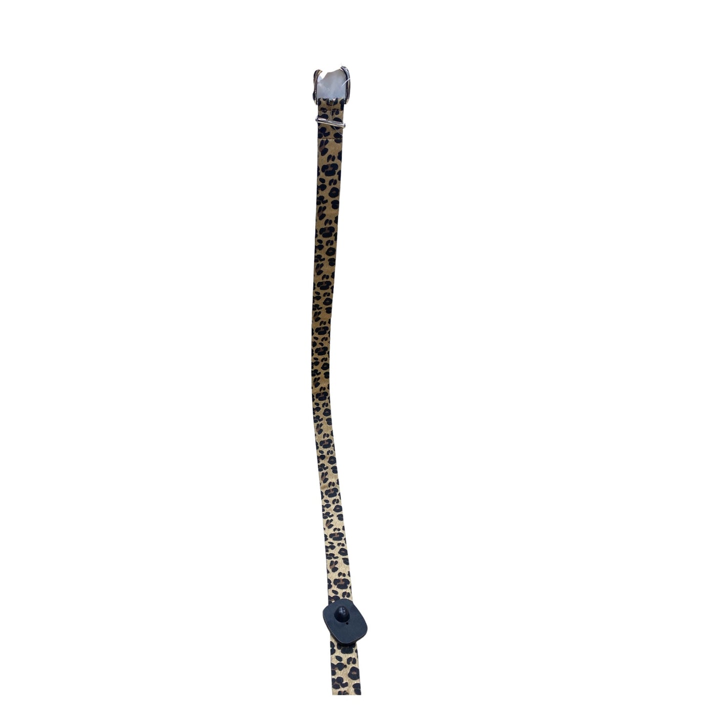 Belt By Clothes Mentor In Animal Print