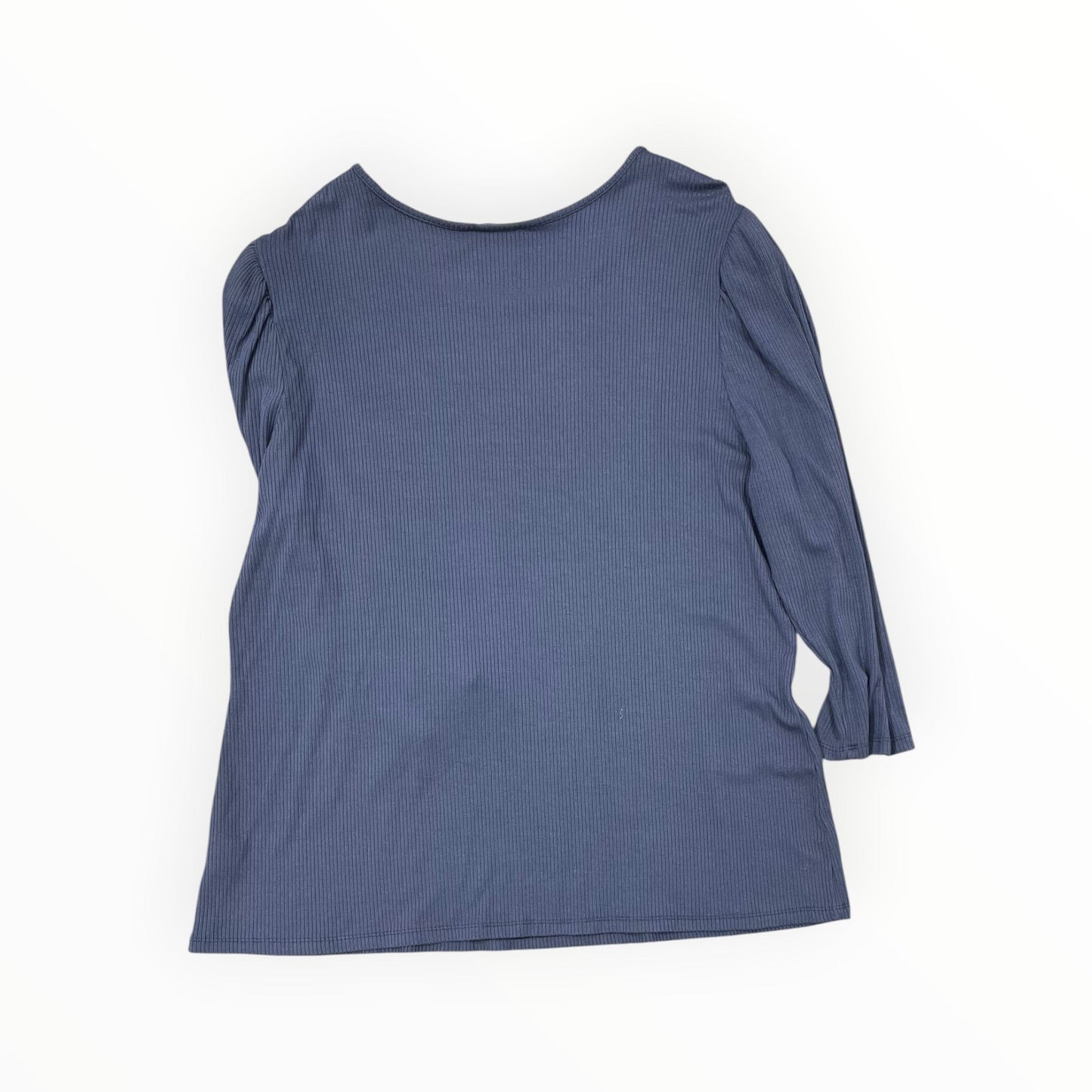 Top 3/4 Sleeve By Time And Tru In Blue, Size:2X
