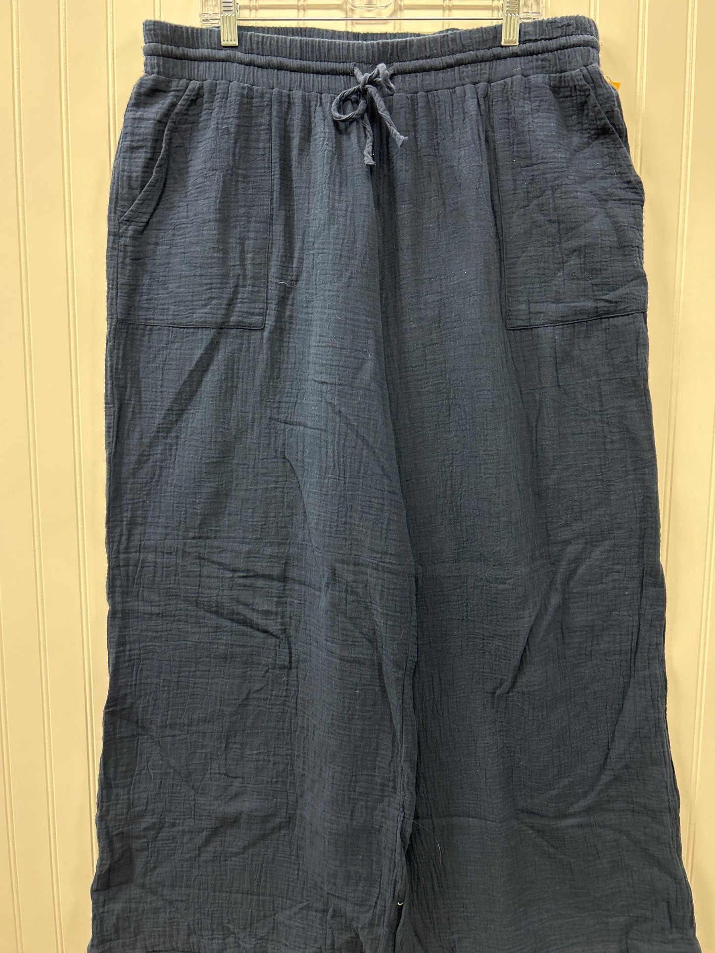 Pants Linen By Style And Company In Navy, Size:Xl