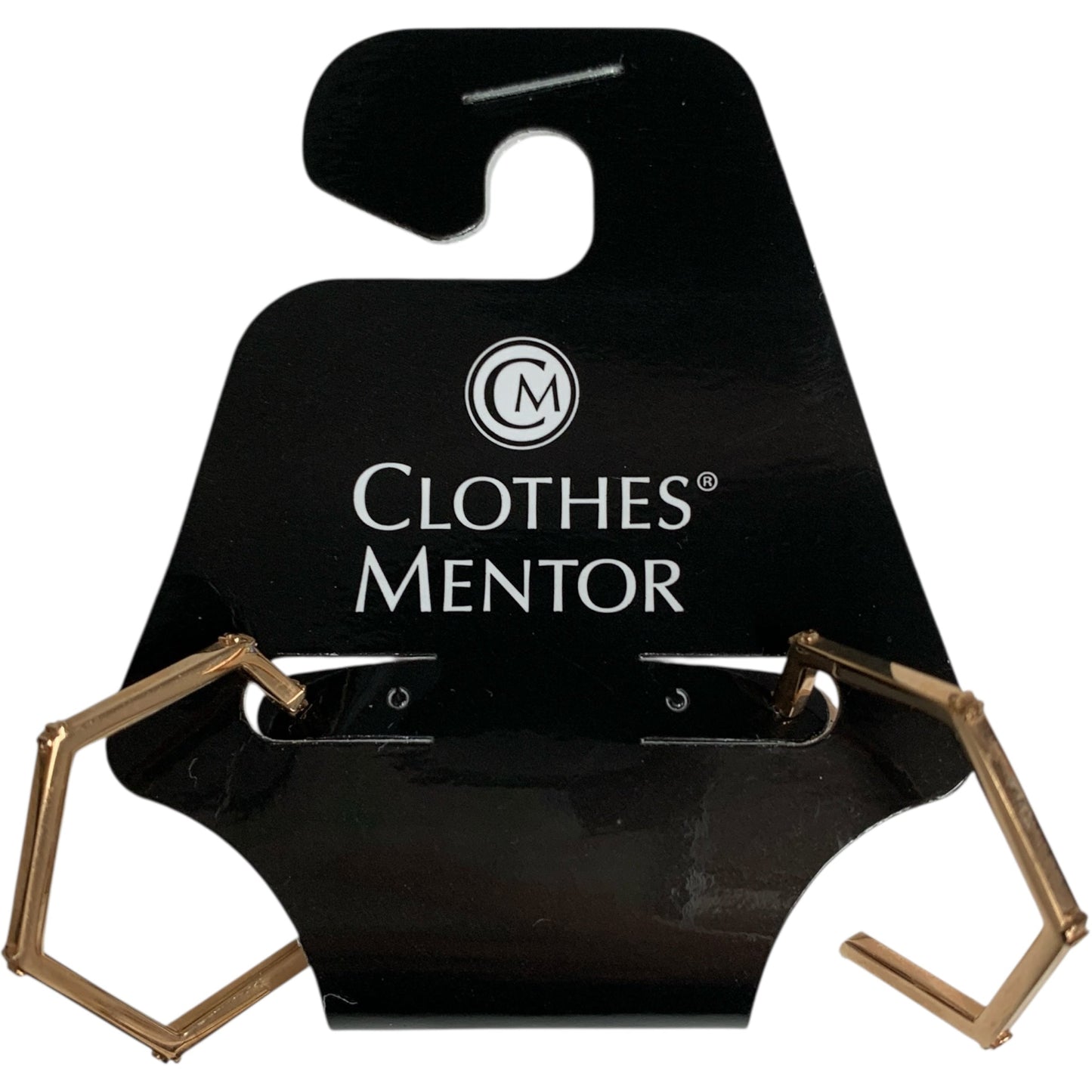 Earrings Designer By Tory Burch