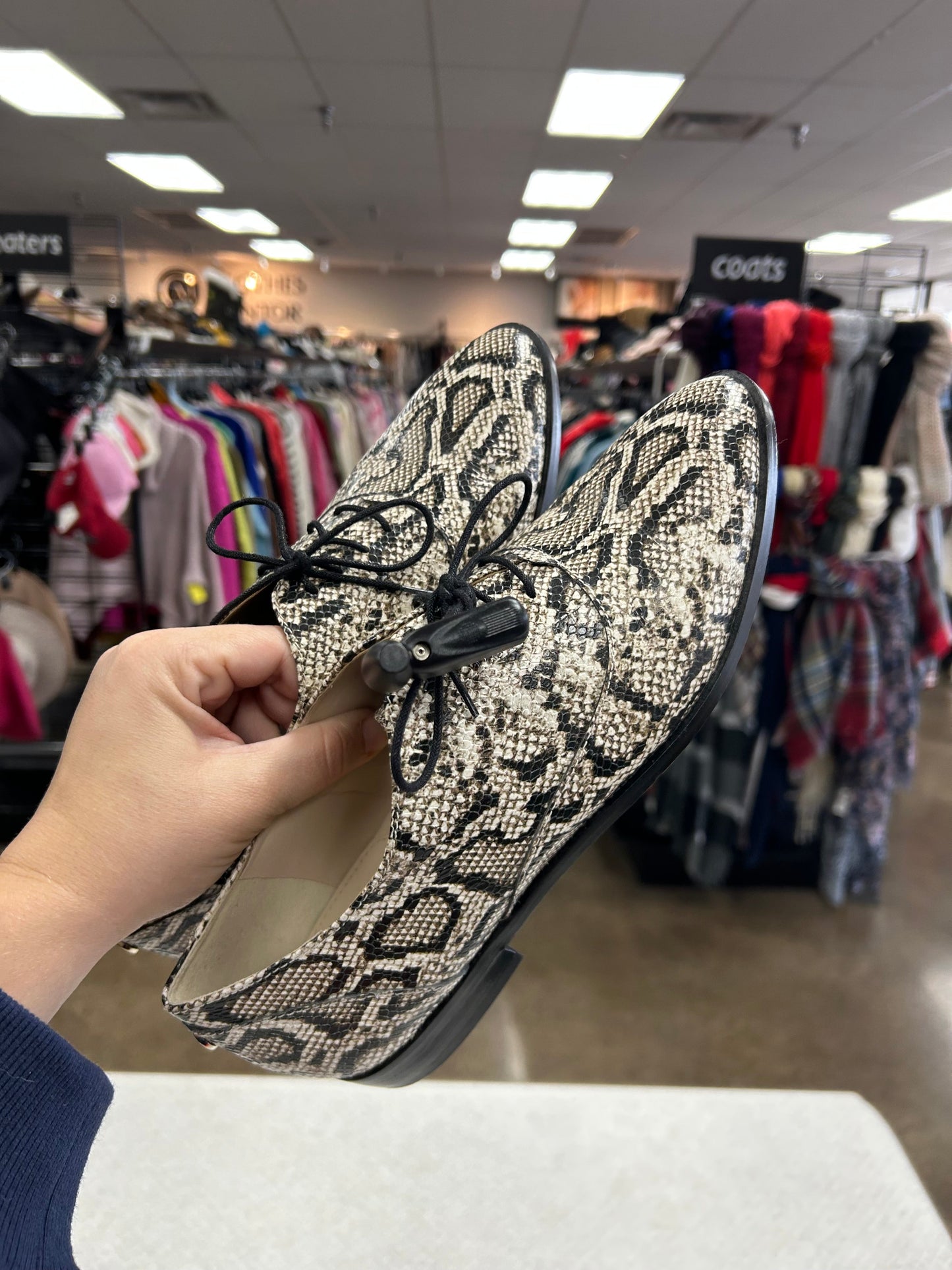 Shoes Flats By Cole-Haan In Snakeskin Print, Size:8.5