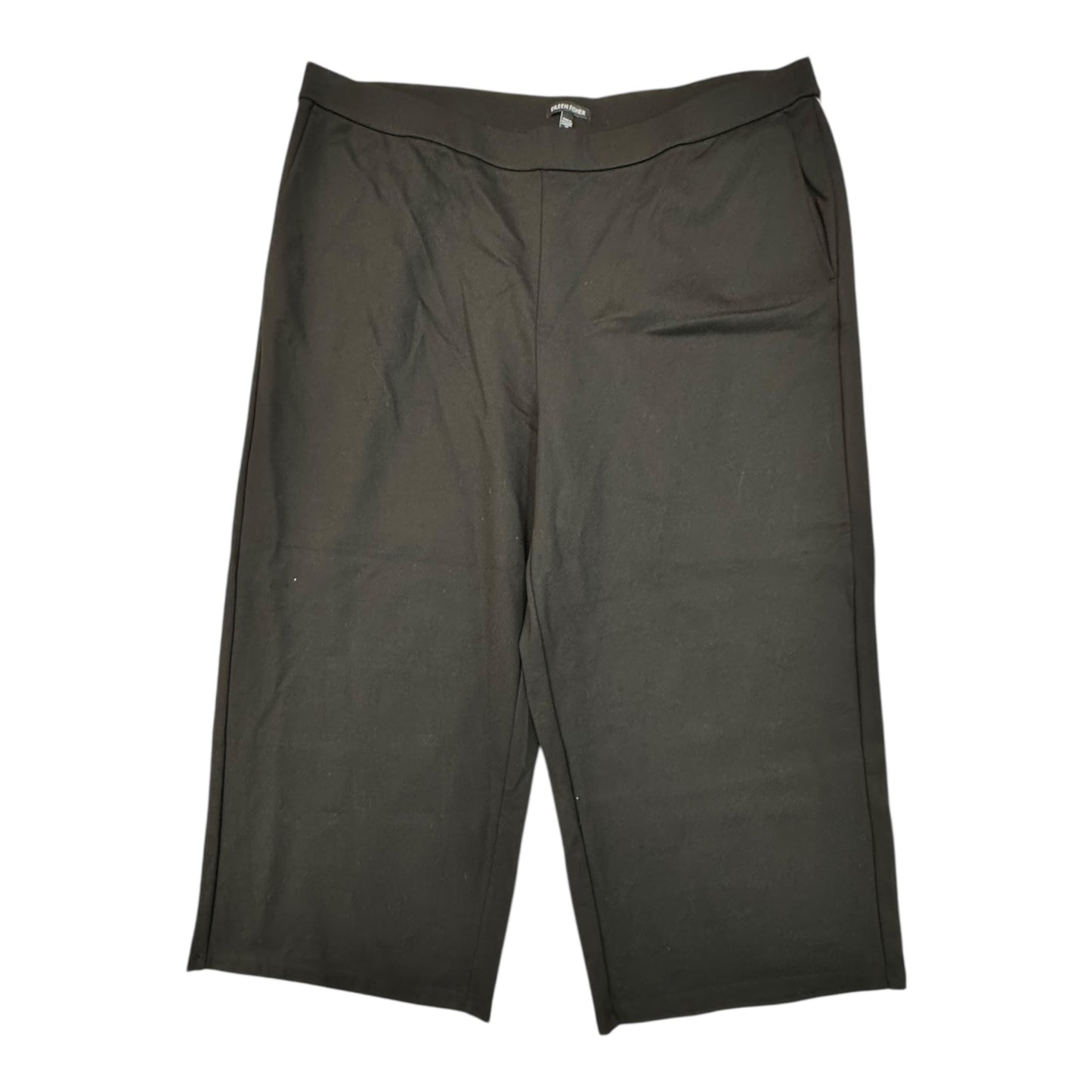 Pants Designer By Eileen Fisher In Black, Size:2X