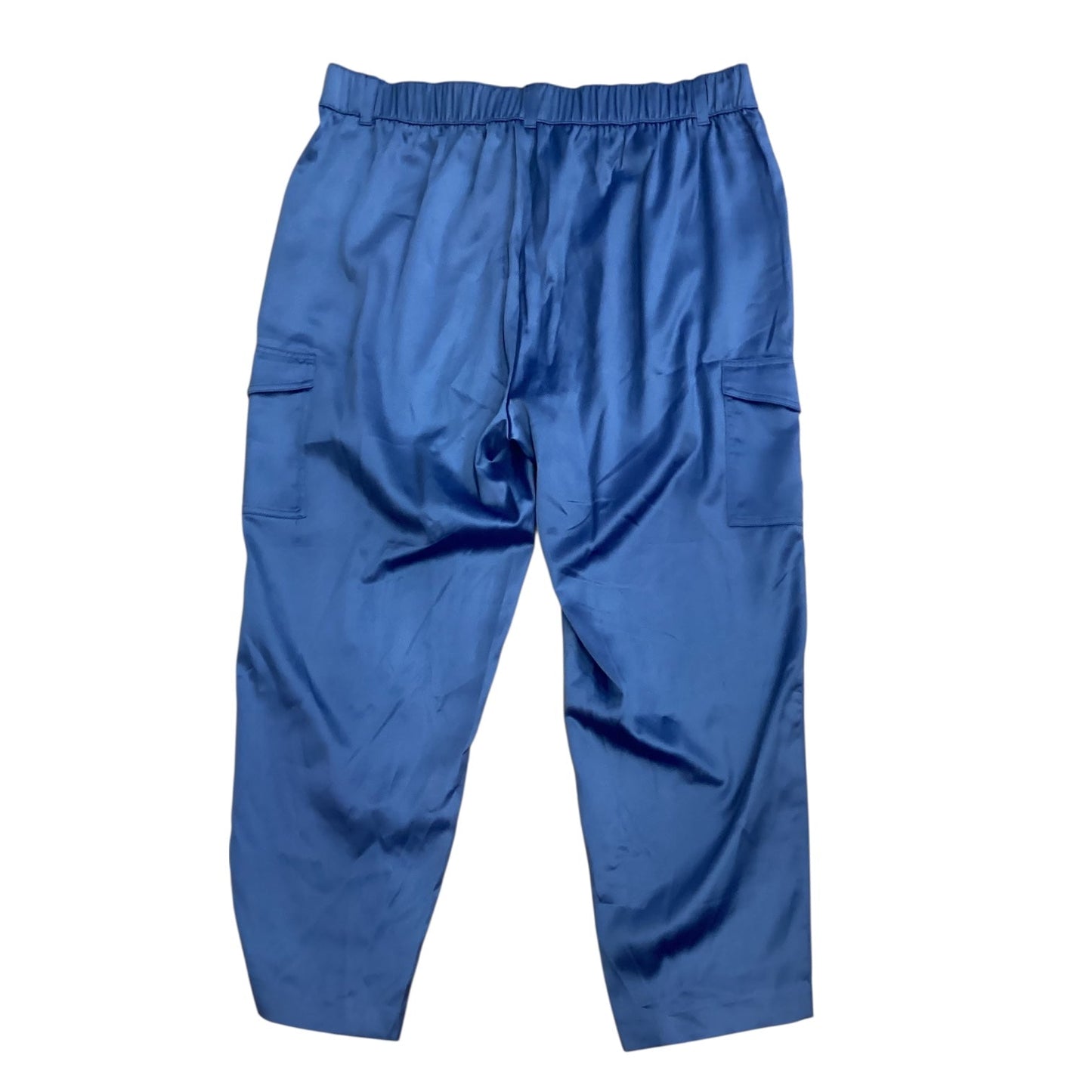 Pants Other By Torrid In Blue, Size:14