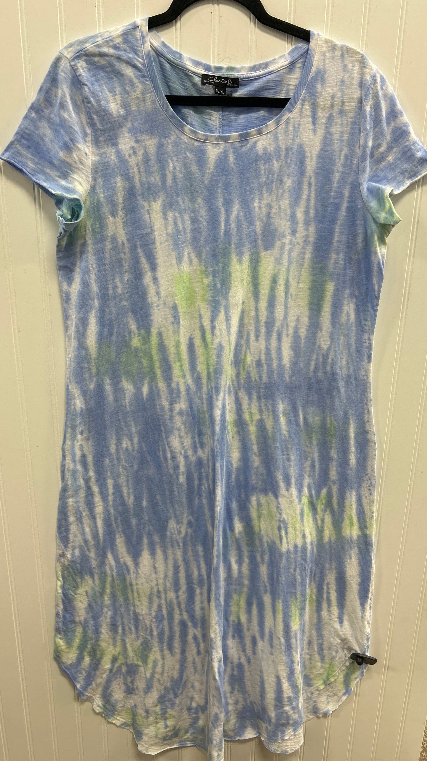 Dress Casual Maxi By Charlie B In Blue, Size:Xl