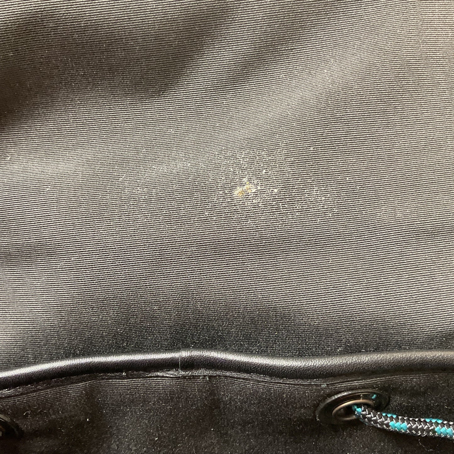 Backpack Designer By Coach In Black & Blue, Size:Large