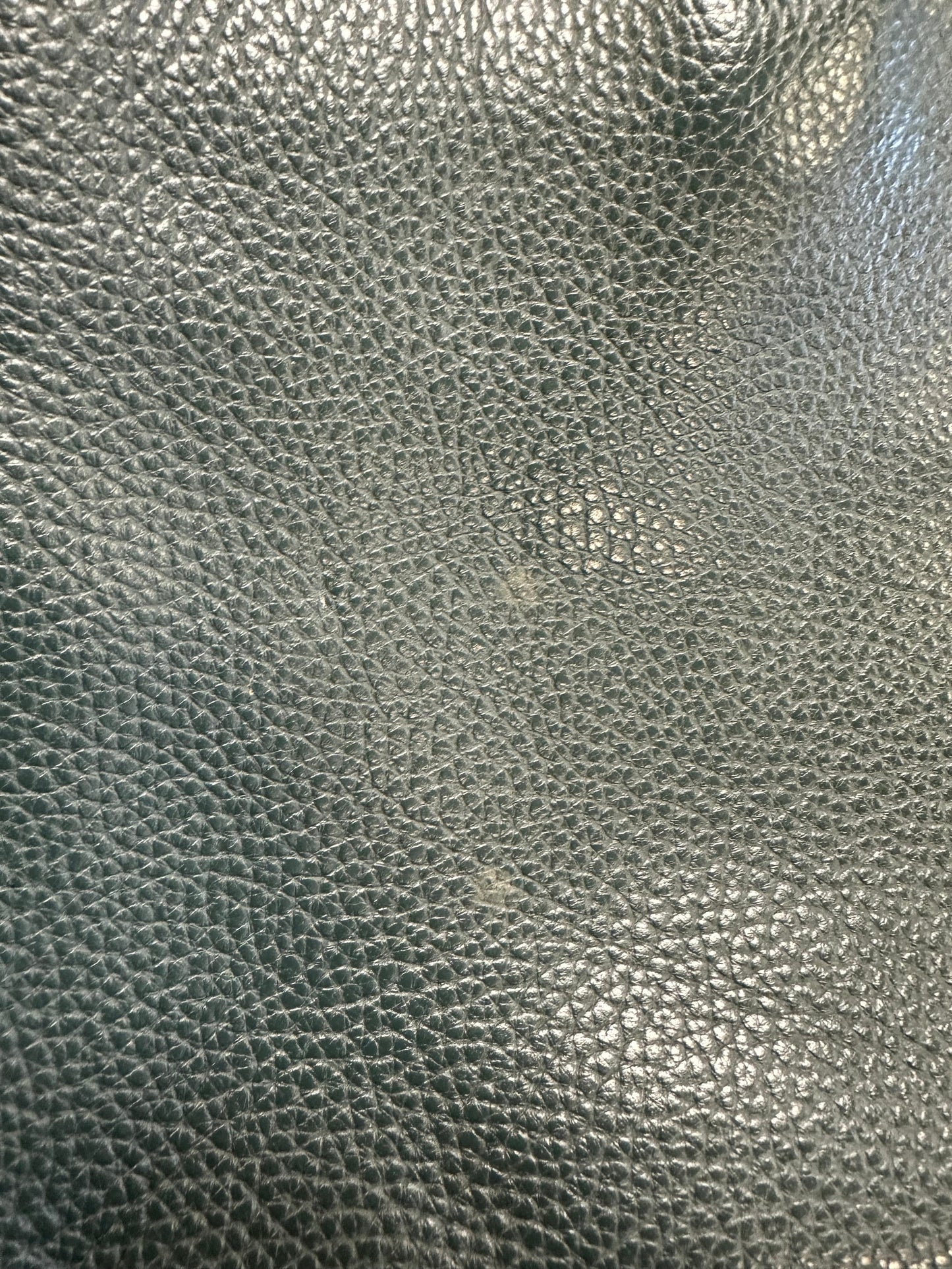 Handbag Designer By Coach In Black & Green, Size:Medium
