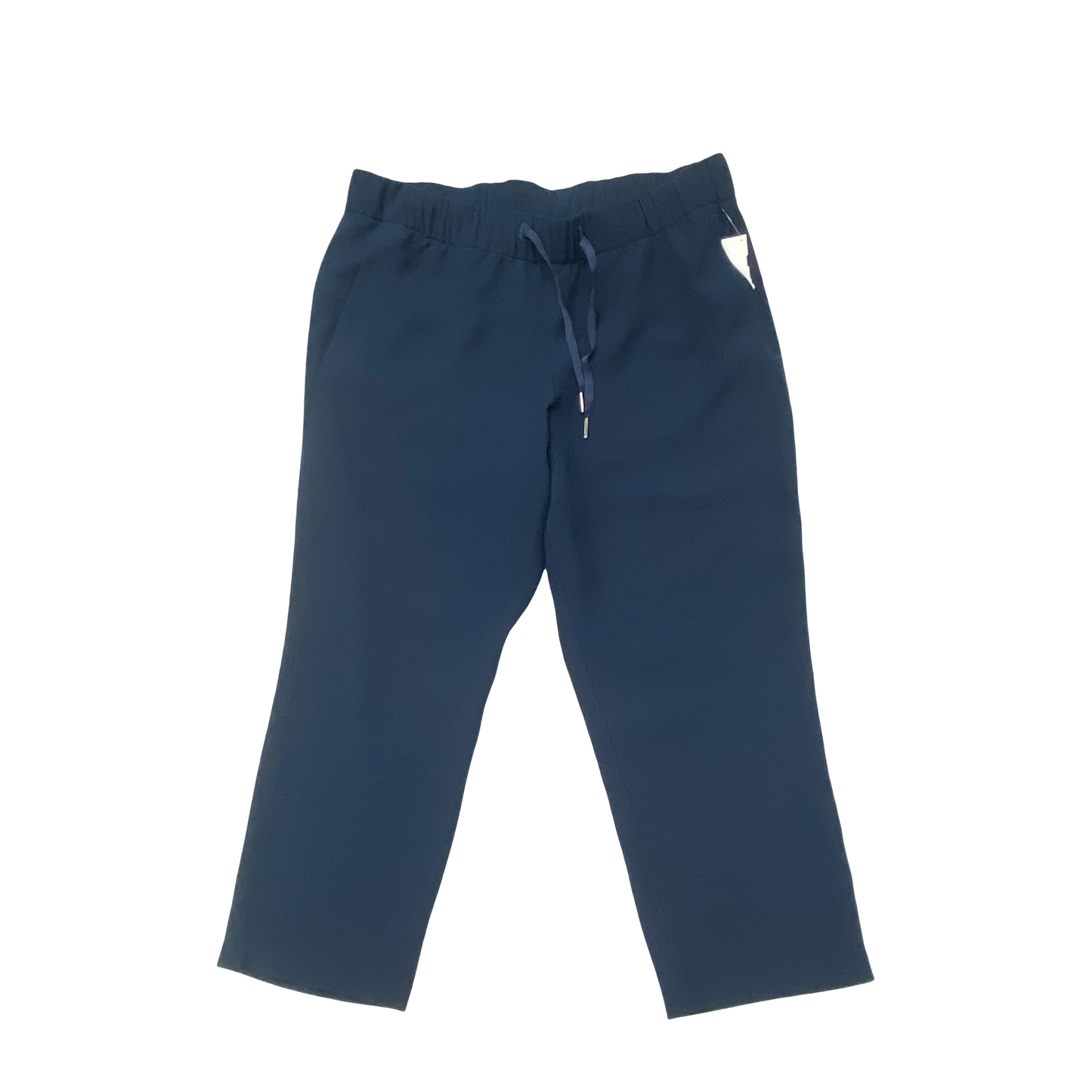 Athletic Pants By Lululemon In Blue, Size:12