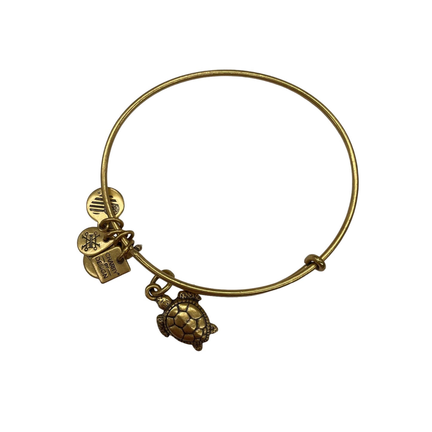 ALEX AND ANI BRACELET CHARM