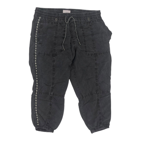 Pants Cargo & Utility By Anthropologie In Grey, Size:2X