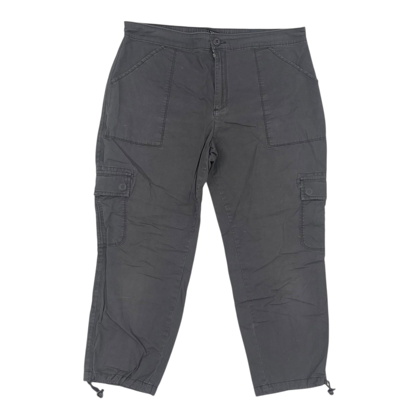 Pants Cropped By Social Standard By Sanctuary In Grey, Size:Xl