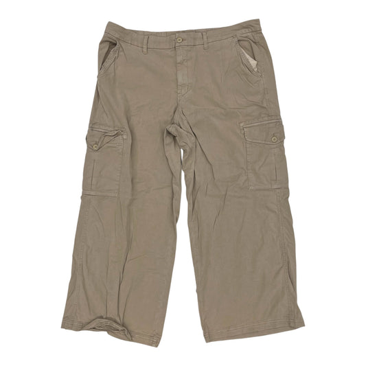 Pants Cargo & Utility By American Eagle In Brown, Size:20