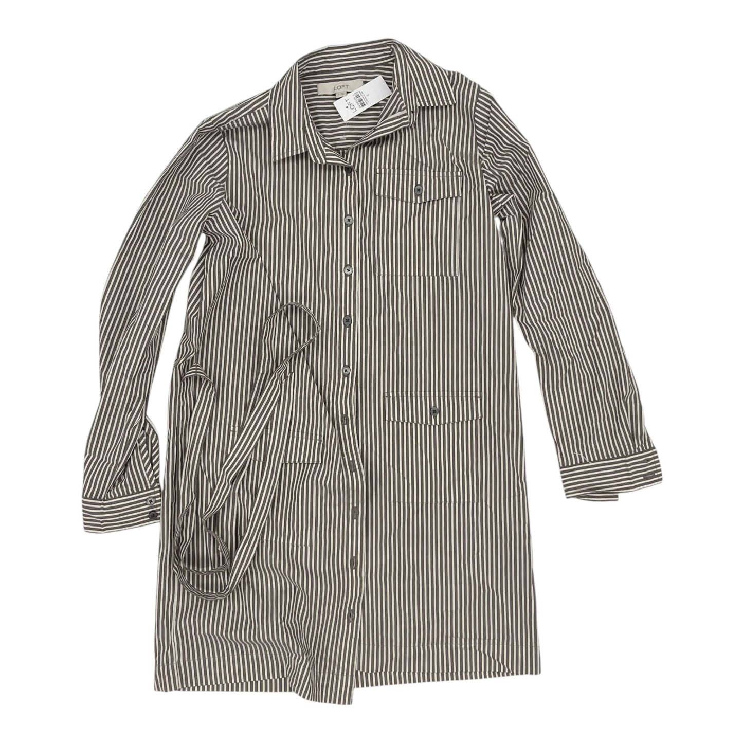 Dress Casual Short By Loft In Brown, Size:2