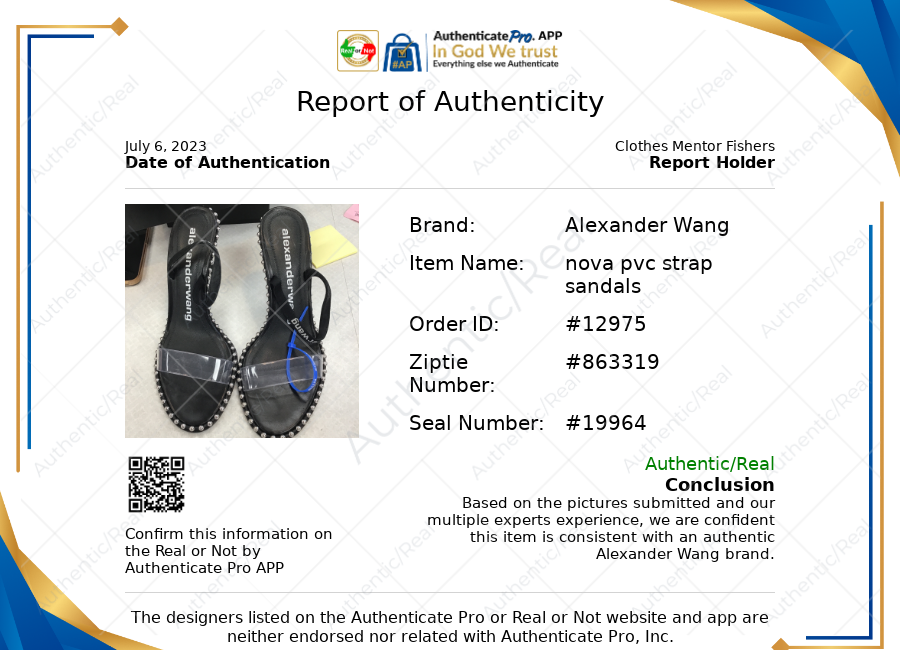 Sandals Luxury Designer By Alexander Wang  Size: 11 (41)