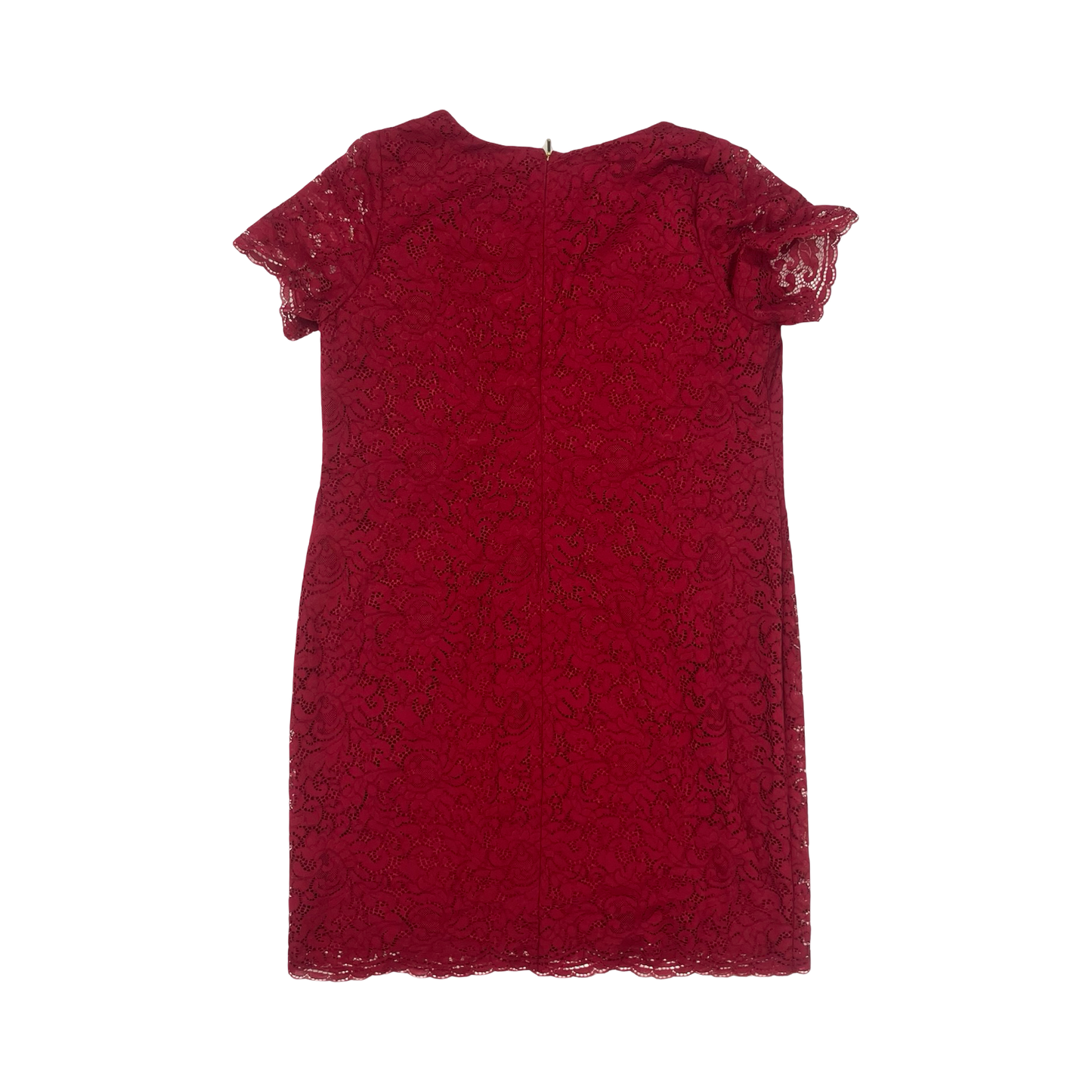 Dress Work By Lauren By Ralph Lauren In Red, Size:14