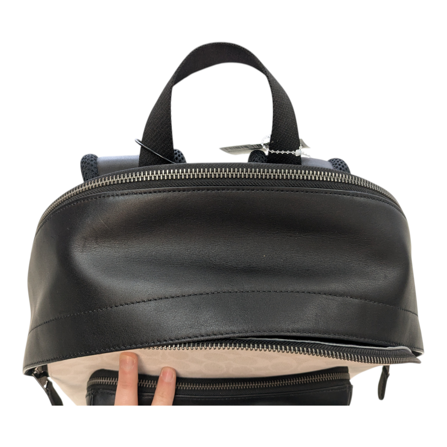 Backpack Designer By Coach In Black & White, Size:Large