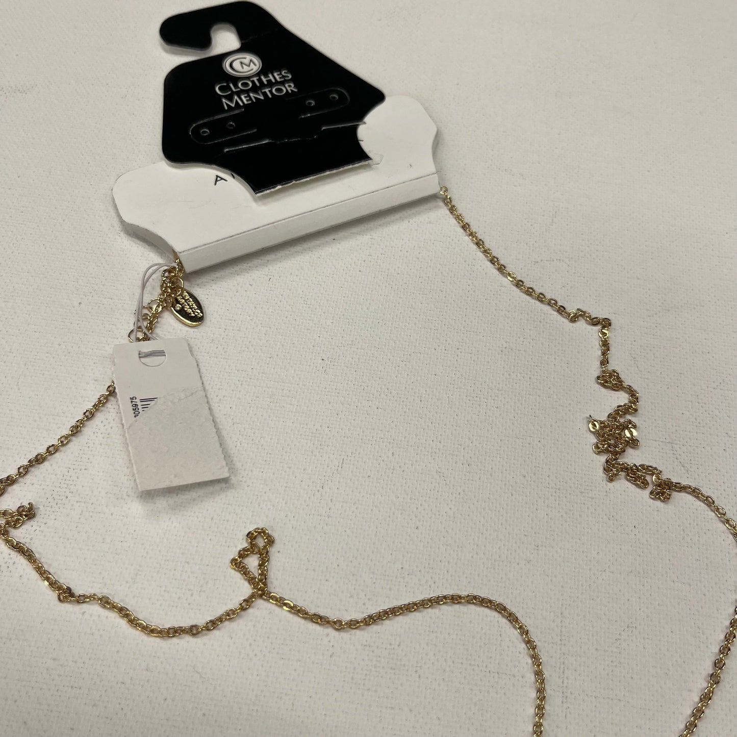 Necklace Lariat & Y-drop By Ann Taylor NWT