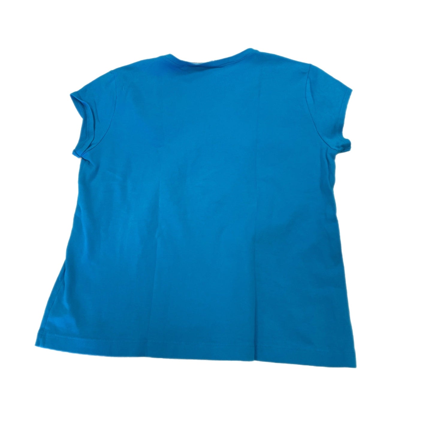 Top Sleeveless By Chicos  Size: 3 (16)