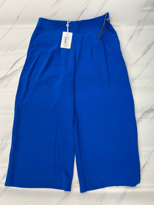 Pants Designer By Ted Baker  Size: 8